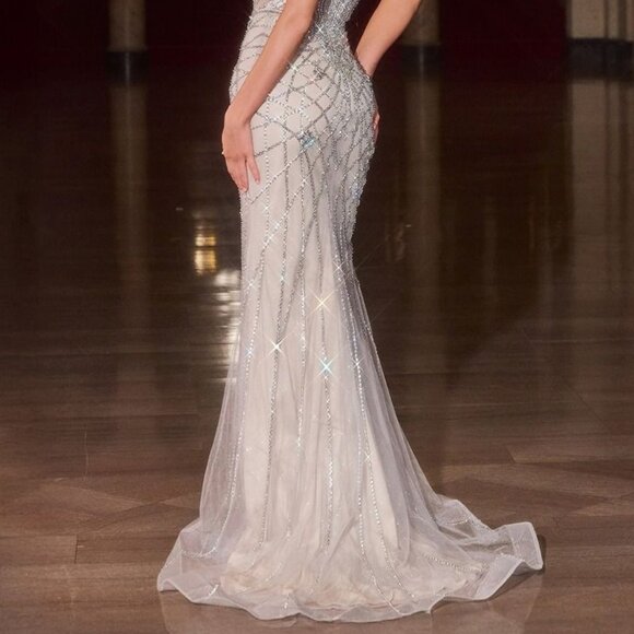 NEW LONG FORMAL DRESS. SILVER/NUDE MOTHER OF THE BRIDE GOWN. PAGEANT FITTED - Picture 4 of 6